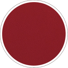 カラー牛革アップ